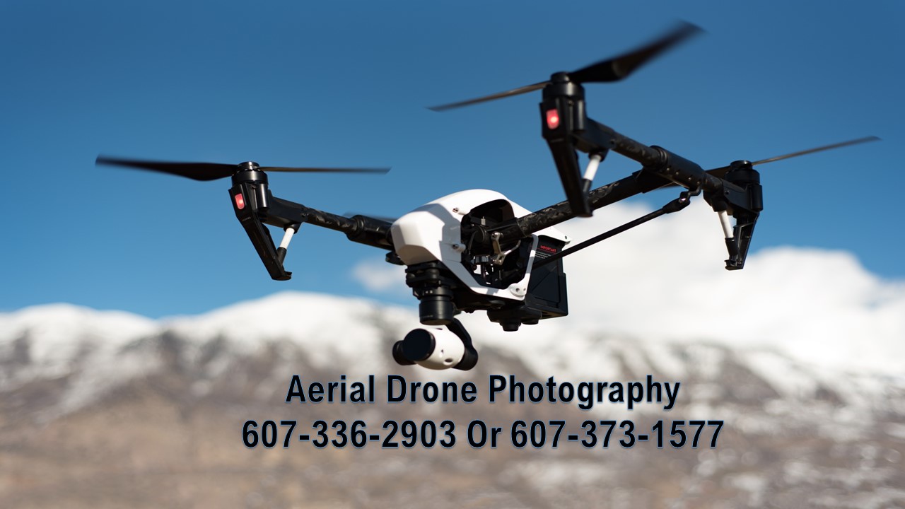 My Shopper Online NY Pennysaver Classifieds